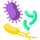 bacteria